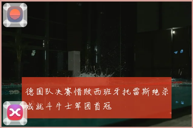德国队决赛惜败西班牙托雷斯绝杀成就斗牛士军团首冠