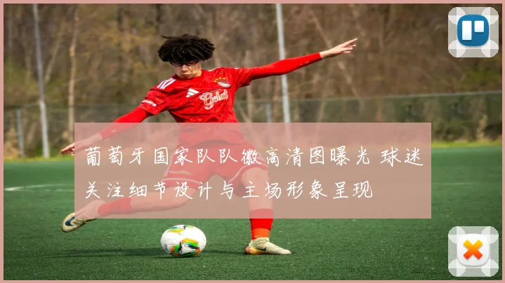 葡萄牙国家队队徽高清图曝光 球迷关注细节设计与主场形象呈现