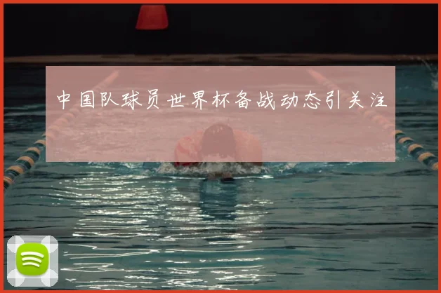 中国队球员世界杯备战动态引关注
